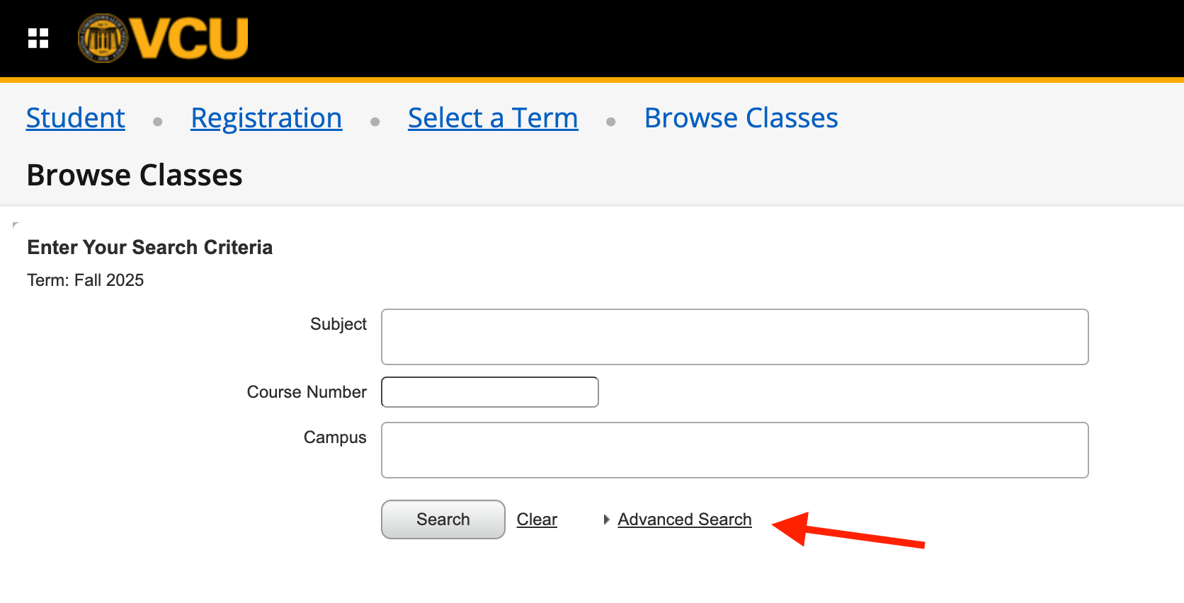 Advanced search option